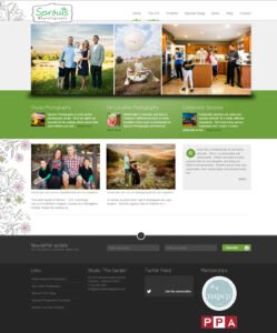 Website Development & SEO